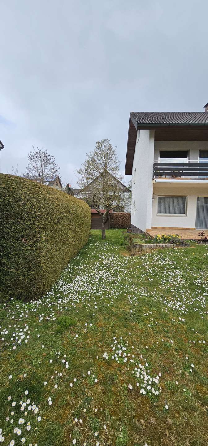 seitlicher Garten